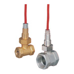 Thermal Reed Temperature Switch